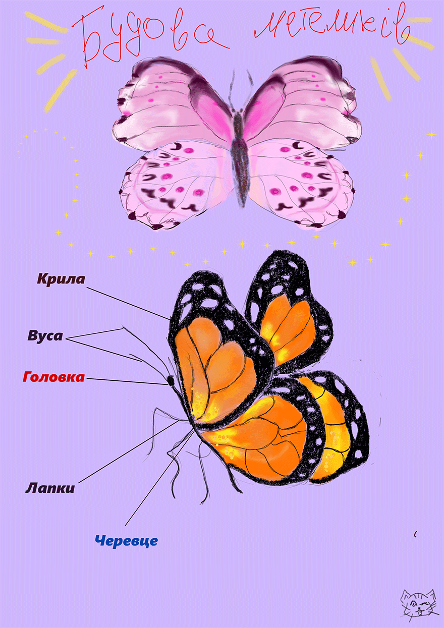 https://354441375035a47b.cdn.express/~/share/zayHkSY8Rtmg/Beginner/34.png